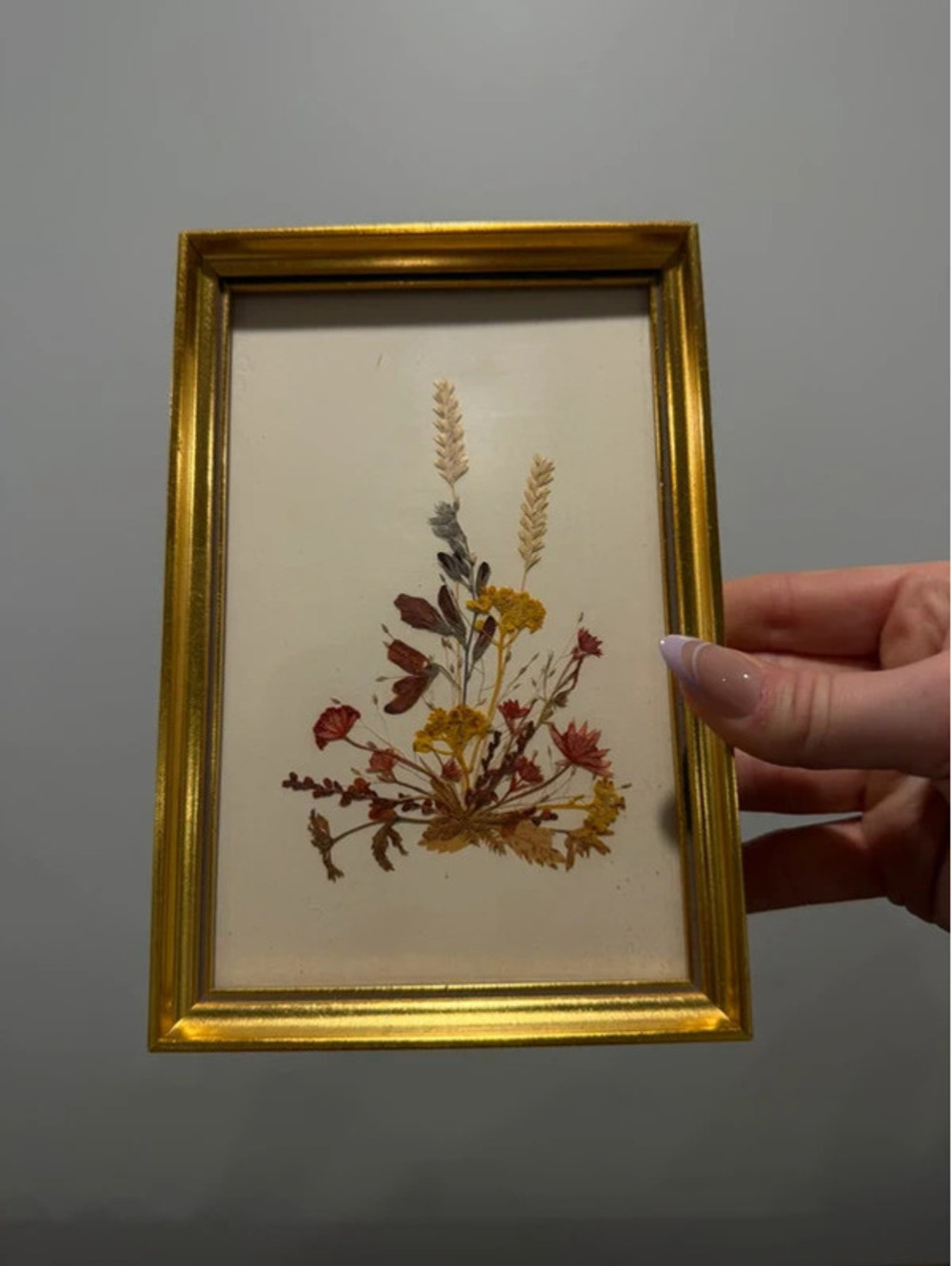 vintage     Reichlin Handmade Swiss Pressed Dried Flower Framed Botanical Art